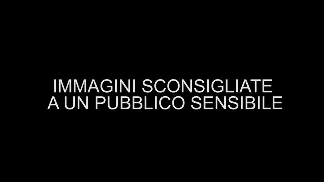 Viareggio: Ricordo del Vigile in Servizio alla Strage