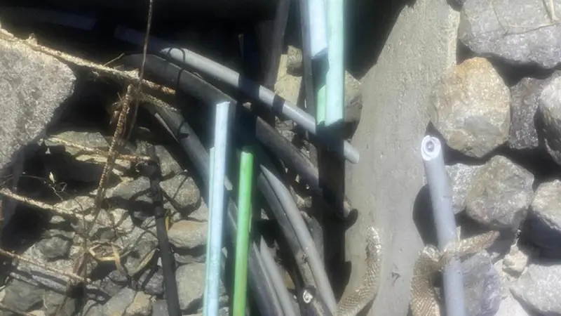 Ferrovie Calabresi: Ripercussioni dei Danni e Ripresa Graduale del Traffico