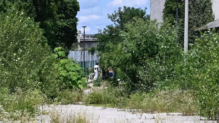 Udine: Droga, Disagio e Riemergenza dello Spaccio