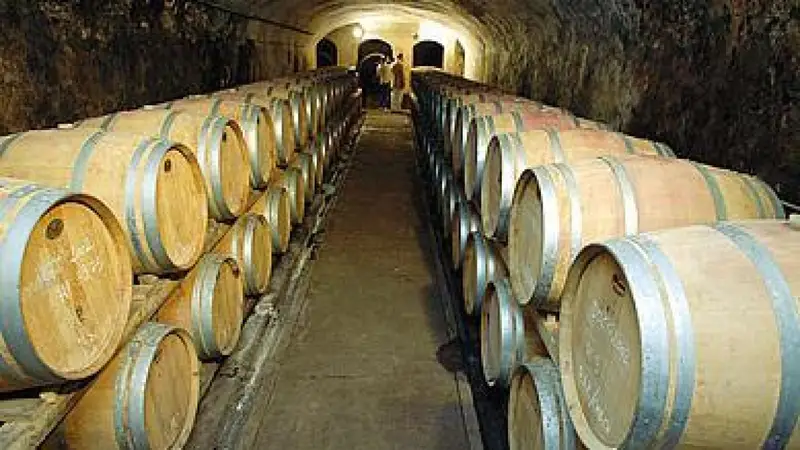 Vino Piemontese: Esplosione di Giacenze e Calo dei Prezzi, Crisi nella Filiera