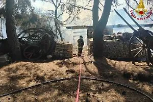 Incendio Ranch Puglia: Soccorsi e Sicurezza Cavalli