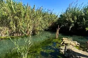 Puglia: Feste per i Guadagni del Gratta e Vinci, Preoccupazioni Ambientali sul Fiume Tara