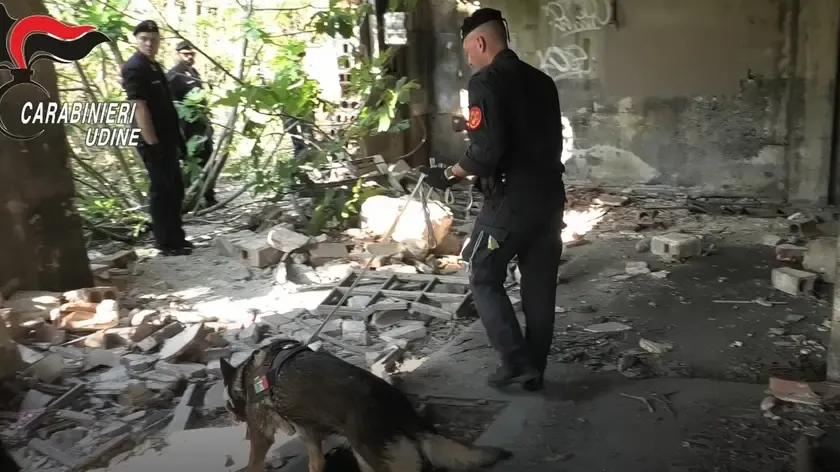 Udine: Blitz Anti-Droga, Arresti e Rete di Spaccio Smantellata