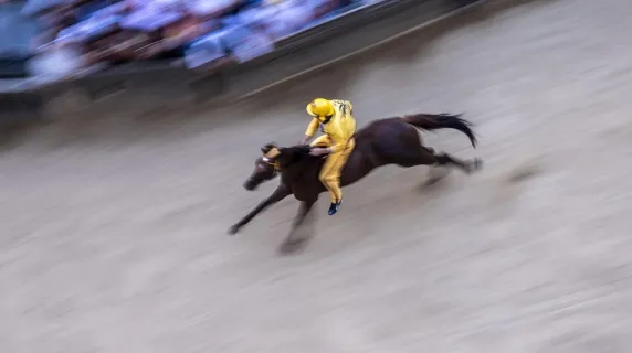 Palio di Siena: L'Aquila Vince Dopo 34 Anni!