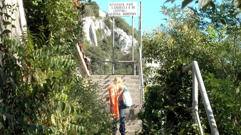 Allarme Alghe a Canovella: Monitoraggio Attivo sulla Spiaggia