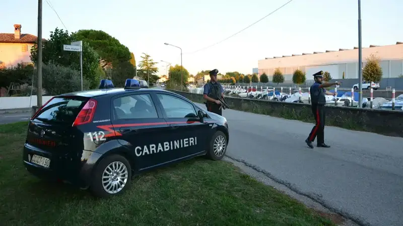 Bassa Friulana: Nove Denunce per Guida in Stato di Ebbbrezza e Comportamenti Antisociali