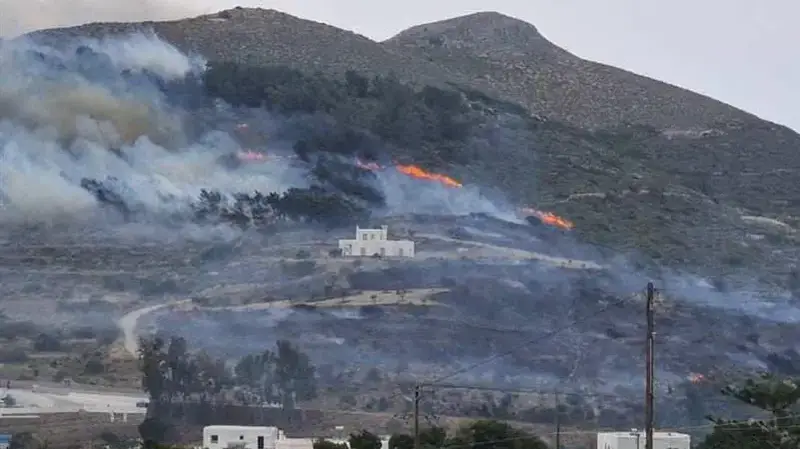 Incendi Devastanti in Grecia: Un Paradiso Bruciato e l'Allarme per l'Ecosistema