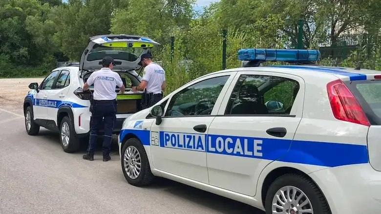 Monfalcone: Sospesi due ambulanti per esposizione irregolare di merce al mercato