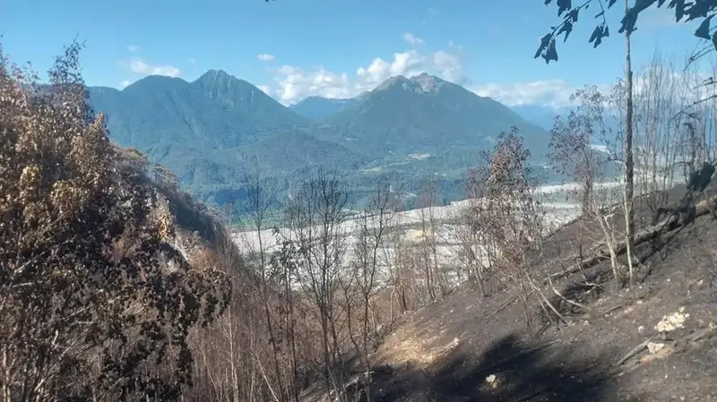 Carnia: I Roghi Lasciano Tre Sentieri Inagibili, Shock per il Cai
