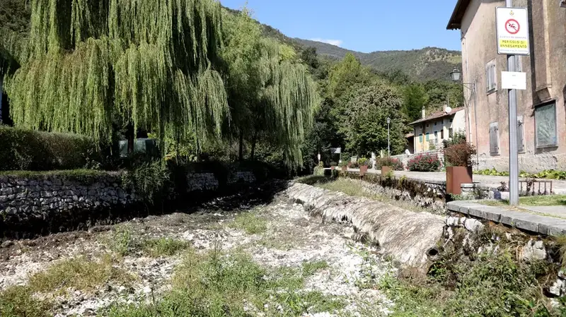 Gorgazzo: Situazione Critica con Pozze d'Acqua e Decomposizione Algale