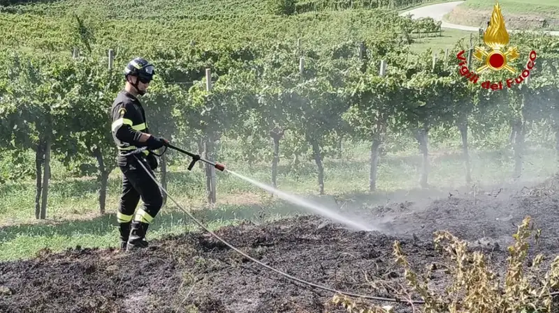 Incendio a Plessiva: Rapido Intervento dei Vigili del Fuoco Evita la Propagazione