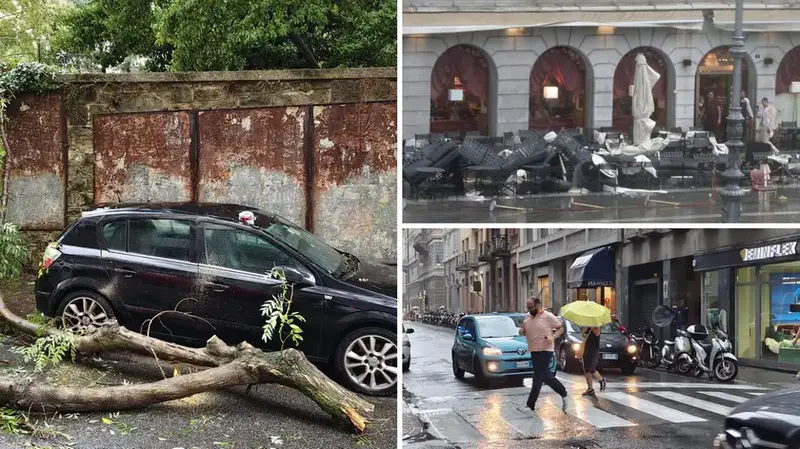 Trieste, Maltempo e Ramo Caduto Danneggiano Auto: Decine di Interventi dei Vigili del Fuoco