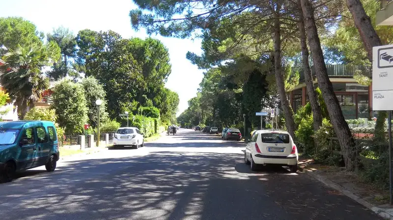 Nuova Ciclabile a Grado Pineta: Inizio Lavori per Raccordo con la Provinciale