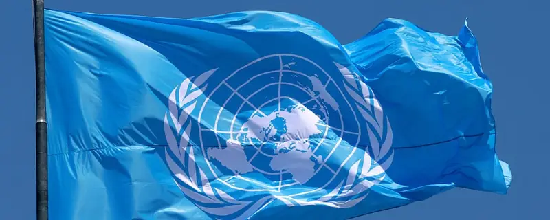Relatori Speciali dell'ONU: Un Dossier di Finanziamenti e Narrazioni Politizzate