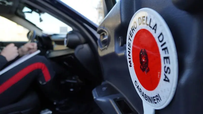 Torino: Arrestata Ex Compagna per Tentato Furto di Bambino