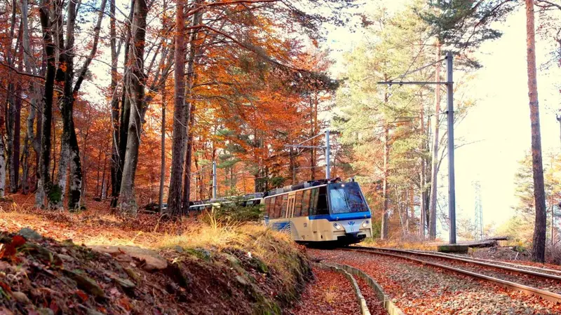 Treno del Foliage 2026: Un Viaggio nel Cuore delle Centovalli