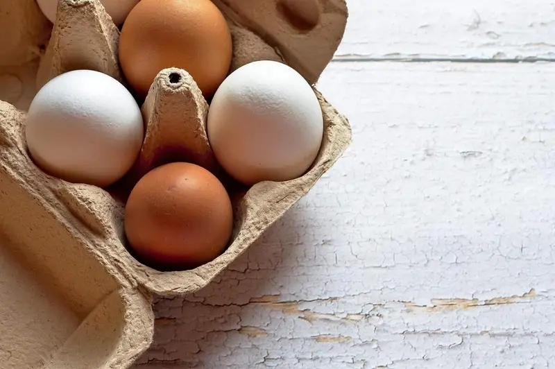 Uova: Il Colore Non Dice Tutto – Scopri la Verità Dietro il Tuo Scelta al Supermercato