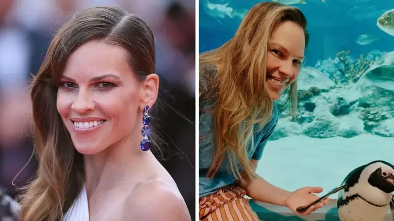Hilary Swank Annuncia una Terza Gravidanza: Un Nuovo Capitolo per la Mamma