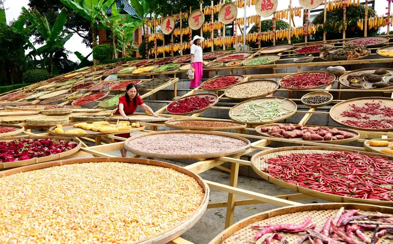 La Cina che si Scopre a Tavola: Un Viaggio Gastronomico nell'Anima del Paese