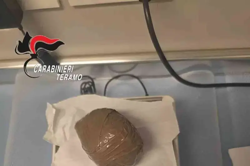 Cane da Tartufi Trova Sequestrato Importato di Cocaina