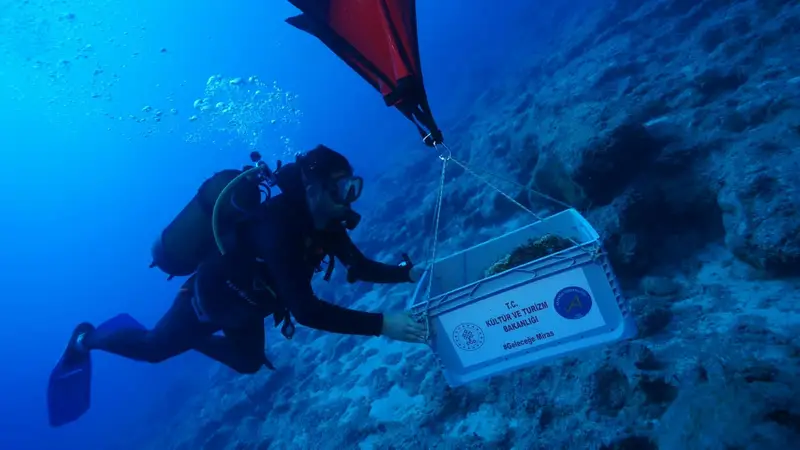 Scoperte Scientifiche Rivoluzionarie: Nuove Tendenze dalla Scienza