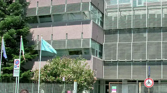 Monfalcone: Investimento di un Bambino in Via Primo Maggio