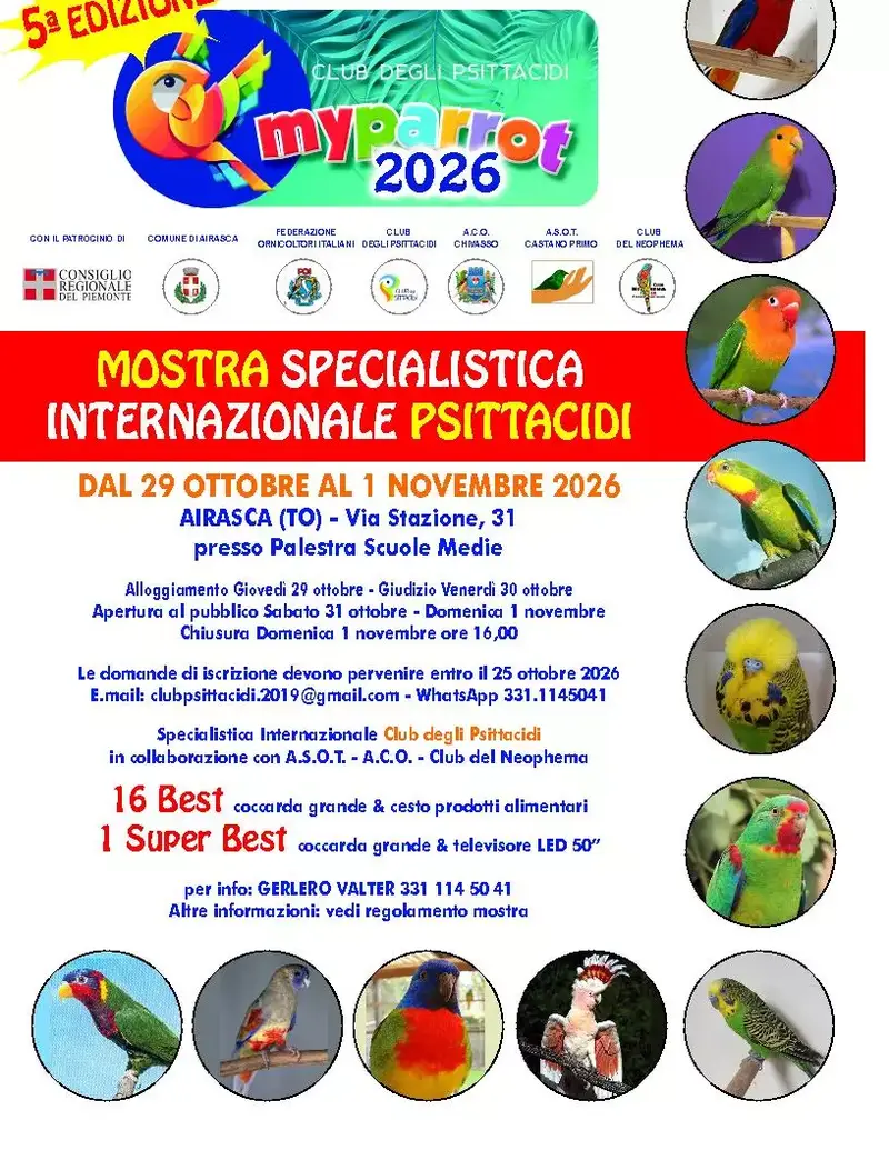Airasca ospita la MyParrot 2026: Internazionale Mostra di Psittacidi
