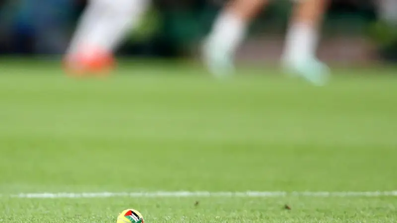 Interruzione Partita Irlanda-Austria: Protesta con Palline da Tennis e Bandiera Palestinese