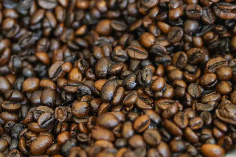Caffè ‘Feci’: Il Lusso Bizzarro del Caffè Prodotto da Animali