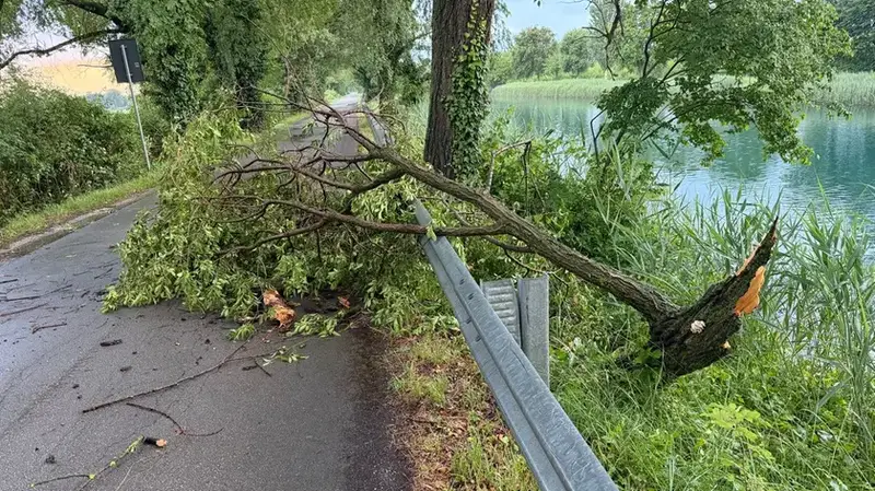 Staranzano, Regione Stanzia 900.000 Euro per la Sicurezza della Strada del Brancolo