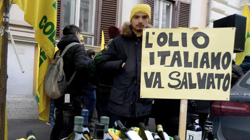 Olio d'Oliva: Stock Elevati e Prezzi in Calo, Accusa di Frodi e Crisi Bancaria
